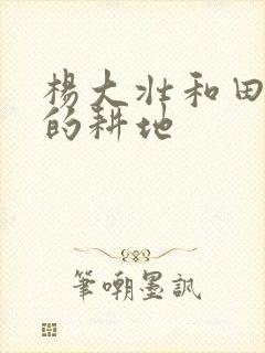 杨大壮和田桂花的耕地