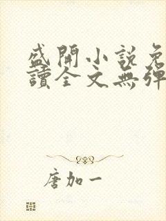 盛开小说免费阅读全文无弹窗