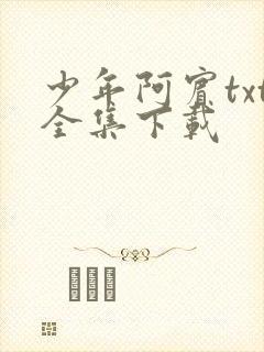 少年阿宾txt全集下载