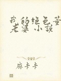 我的绝色董事长老婆 小说