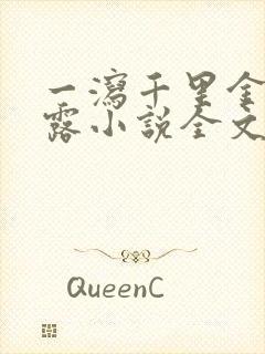 一泻千里金银花露小说全文免费阅读