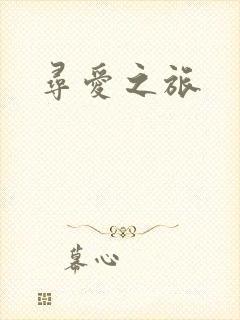 寻爱之旅封面