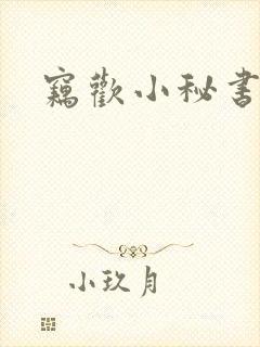 窃欢小秘书