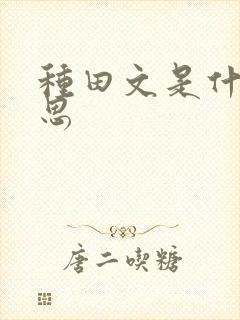 种田文是什么意思