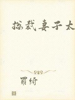 总裁妻子太诱人