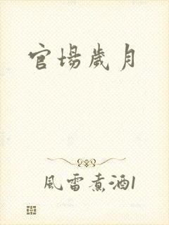 官场岁月