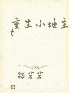 重生小地主txt