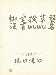 绑定挨草系统后没有wuwu名字