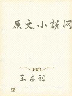 原文小说网