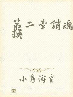 第二章销魂的交换