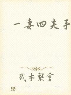 一妻四夫手记