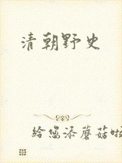 清朝野史