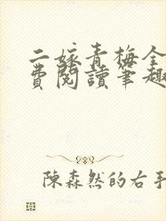 二嫁青梅全文免费阅读笔趣阁