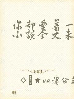 你却爱着一个他小说全文未删减免费