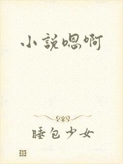 小说嗯啊
