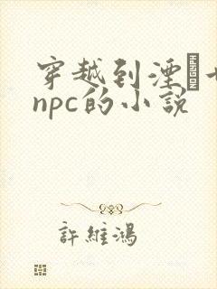 穿越到湮婸世界npc的小说