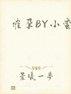 催孕BY小蛮腰