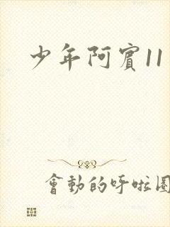 少年阿宾11封面