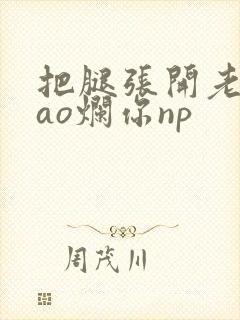 把腿张开老子cao烂你np