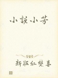 小说小芳