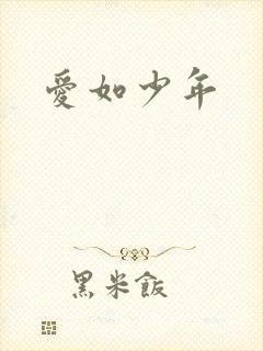 《爱如少年》小说封面