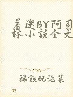 着迷BY阿司匹林小说全文免费阅读