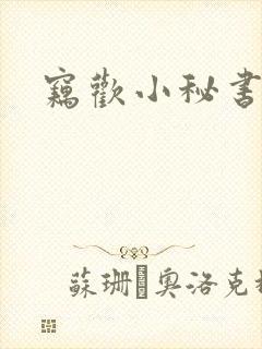 窃欢小秘书