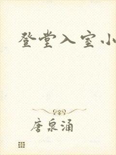 登堂入室小说封面