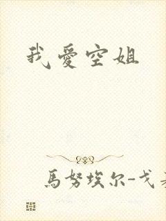 我爱空姐封面