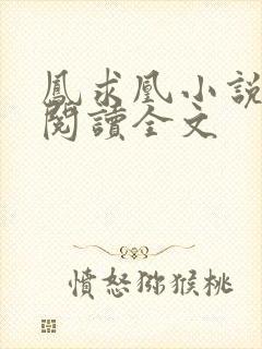 凤求凰小说免费阅读全文