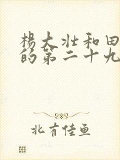 杨大壮和田桂花的第二十九