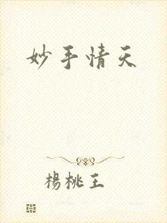 《妙手情天》小说封面