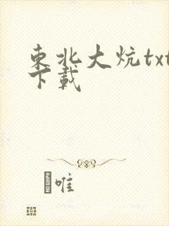 东北大炕txt下载