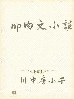 np肉文小说