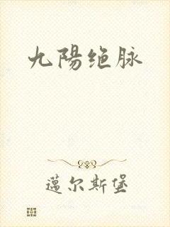 九阳绝脉封面