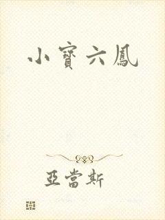 小宝六凤