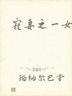 宠妻之一女二夫