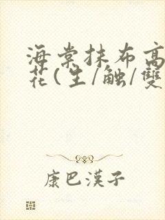 海棠抹布高岭之花(生/触/双)