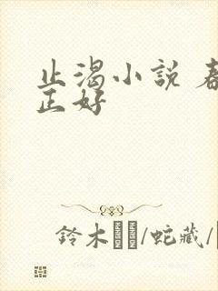 止渴小说 春光正好