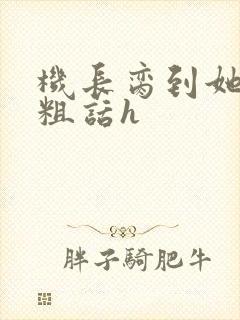 机长脔到她哭h粗话h