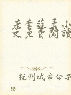 老李苏柔小说全文免费阅读