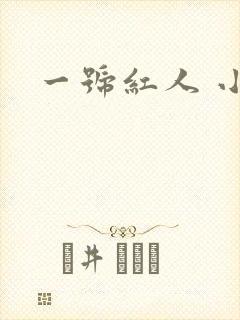 一号红人 小说