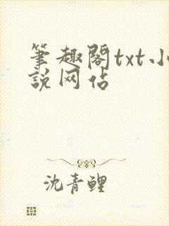 笔趣阁txt小说网站