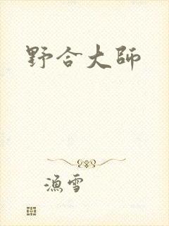 野合大师封面