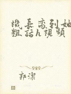 机长脔到她哭h粗话h视频