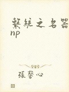 系统之名器攻略np