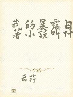 我的暴露日记原著小说叫什么