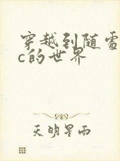 穿越到随处可以c的世界