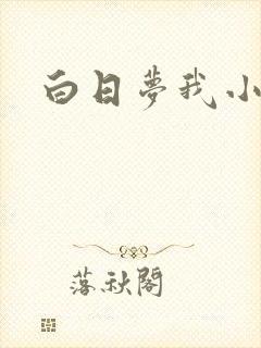 白日梦我小说