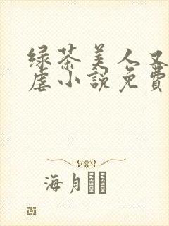 绿茶美人又在求虐小说免费阅读笔趣阁